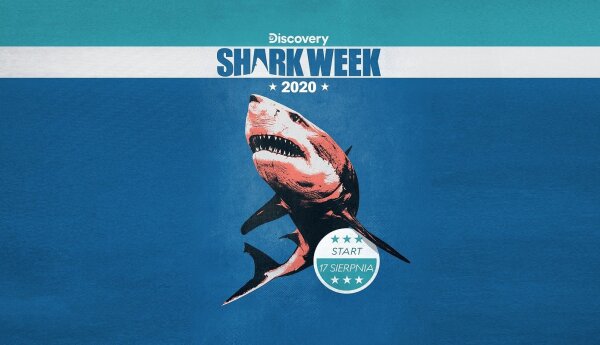 SHARK WEEK 2020: tydzień z rekinami w Discovery